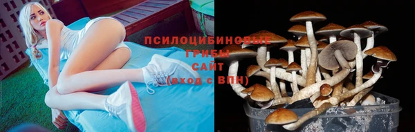 jwh Карпинск