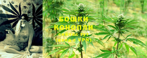 ECSTASY Козловка