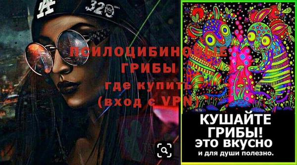 ECSTASY Козловка