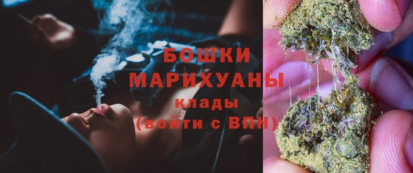 гидра Киренск