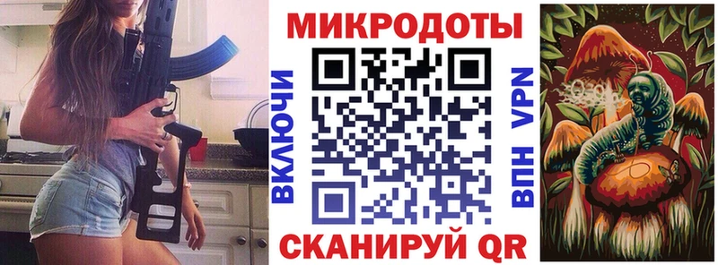 мега tor  Киселёвск  Псилоцибиновые грибы Psilocybine cubensis 